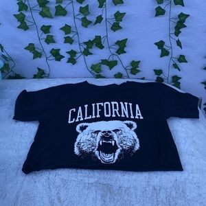 brandy melville california crop top